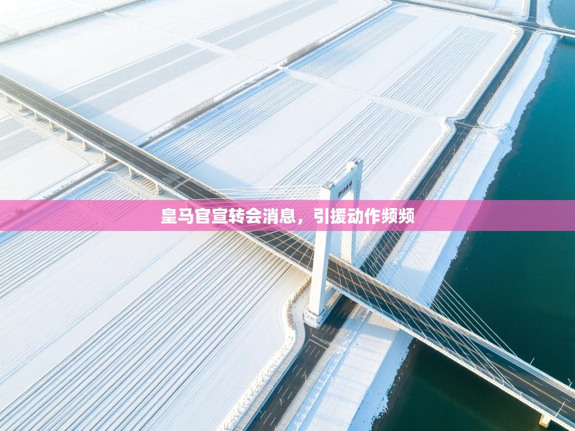 皇马官宣转会消息，引援动作频频  第1张