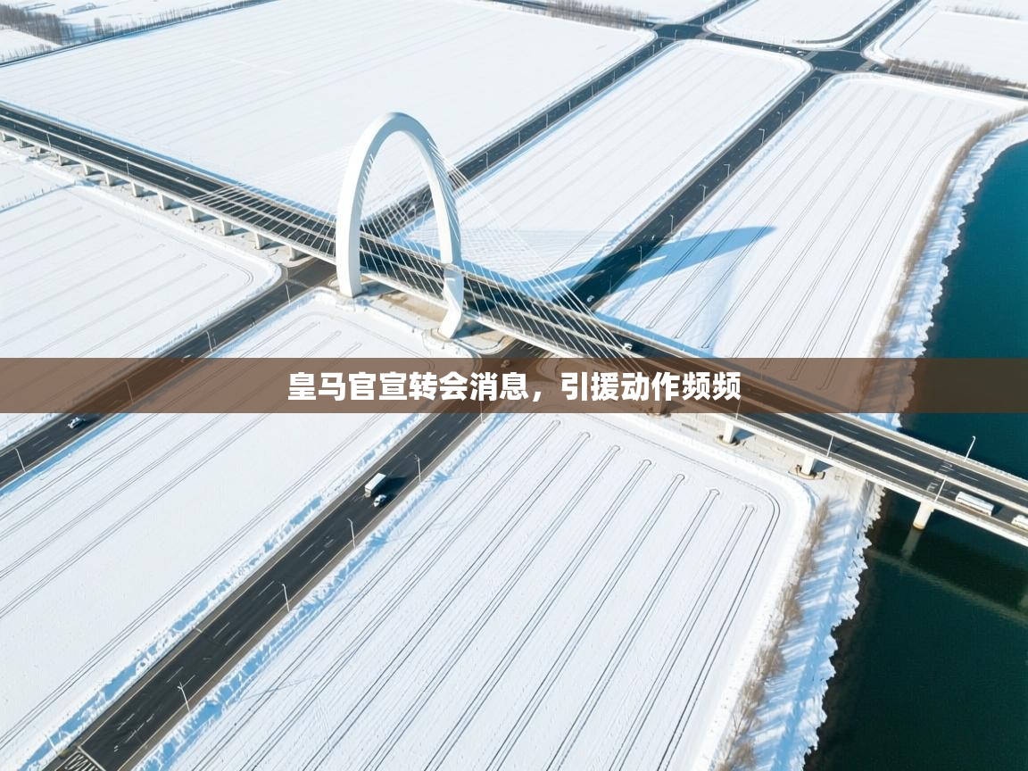 皇马官宣转会消息，引援动作频频  第2张